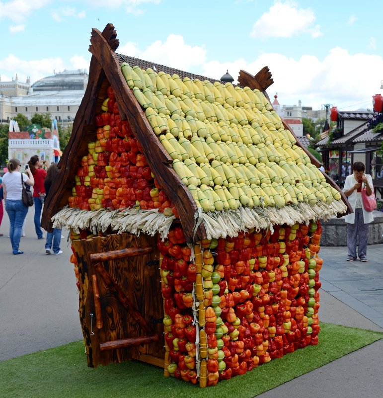 Овощной домик - Александр Шихин