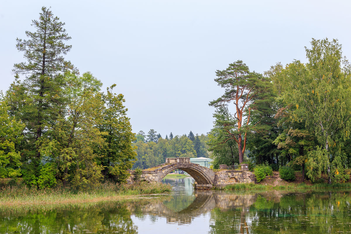 Старое парковое озеро - Николай Николенко