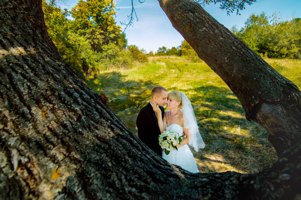 wedding - Светлана Челядинова