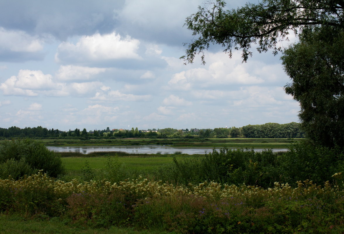 Новгородский пейзаж - валерия 