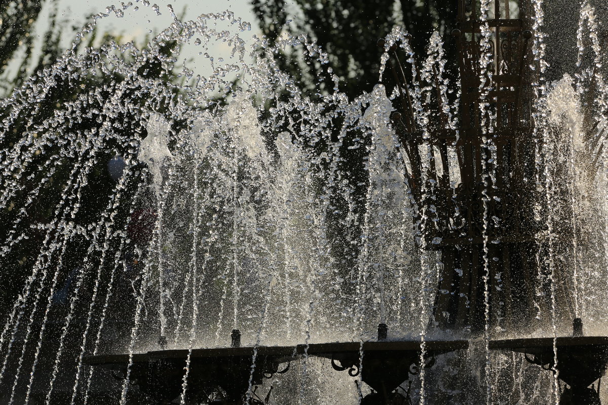 фонтан - сергей пейкер 