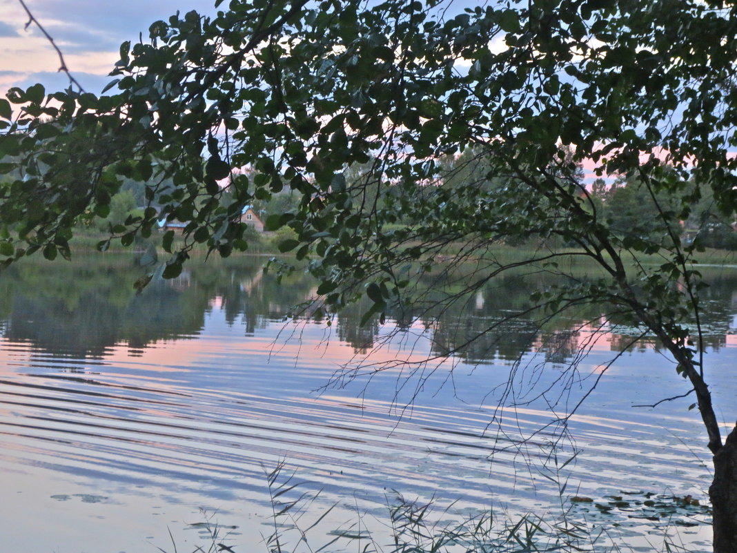 полосатая вода - Елена 