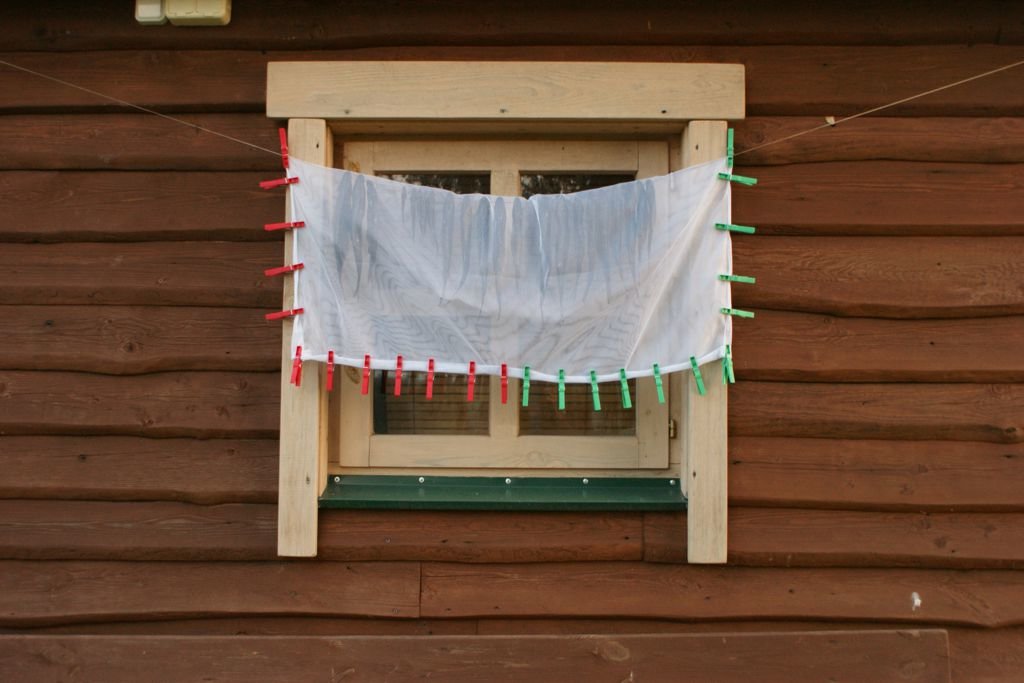 Опарыш в озере - плотва в окне - Oleg Stramko
