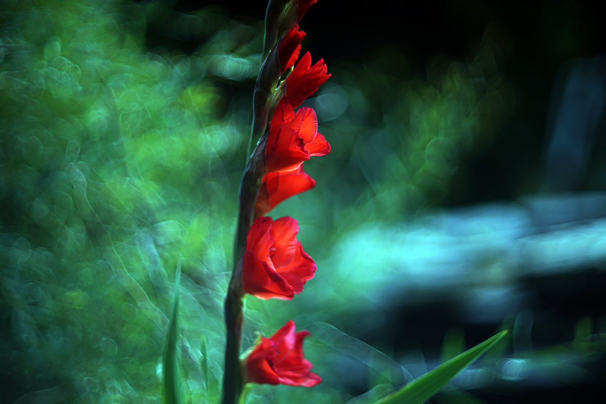 in red - Zinovi Seniak