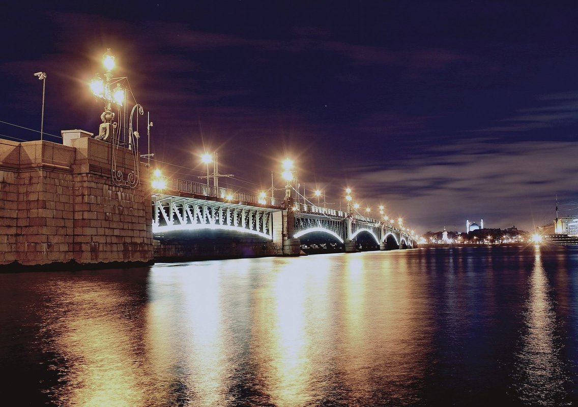 Троицкий мост (Санкт-Петербург) - Светлана Салахетдинова