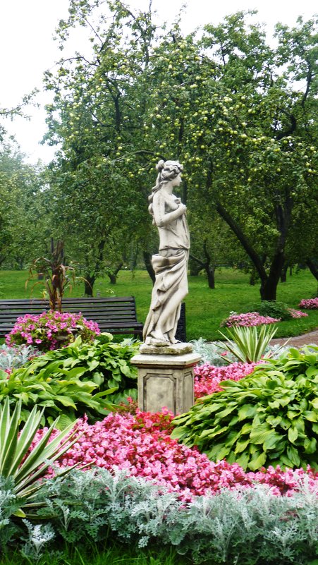 Красавица в яблоневом саду - Бояринцев Анатолий 
