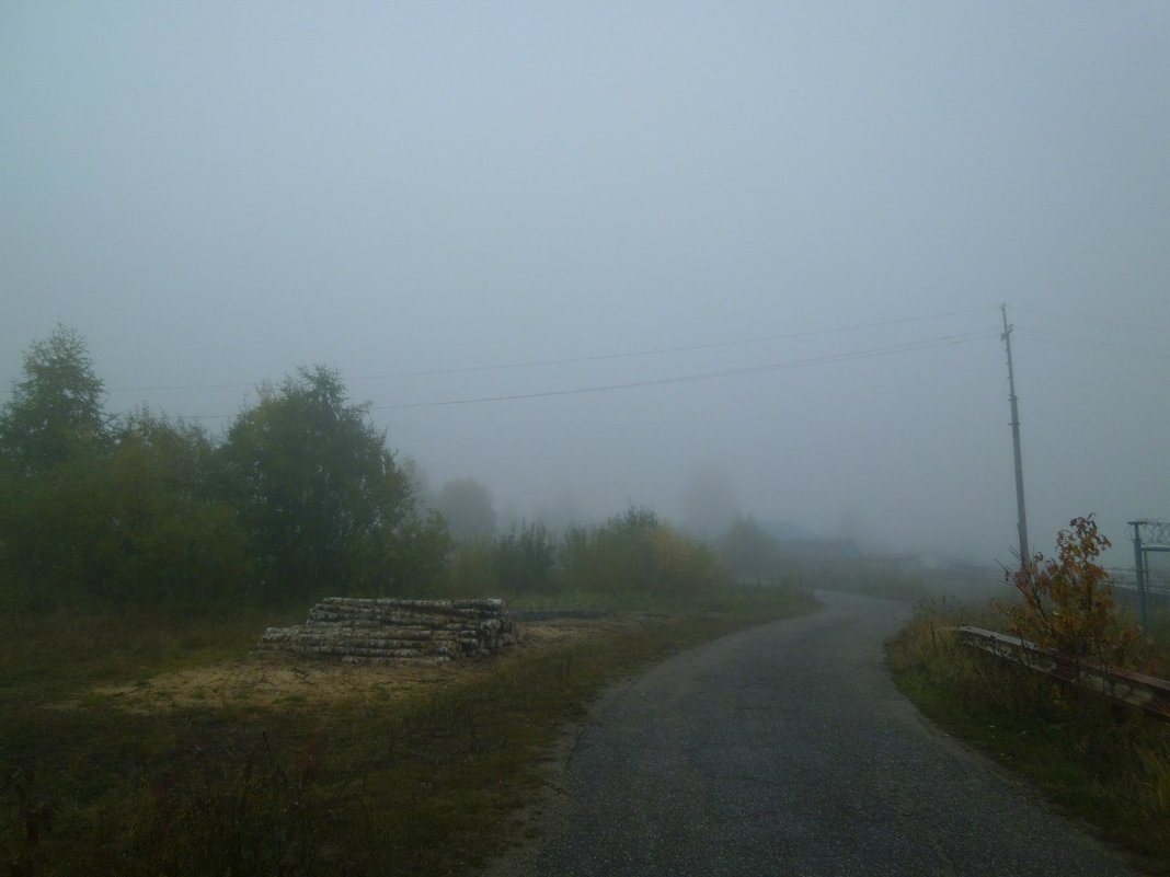 Утро. Туман на въезде в деревню. - Николай Туркин 