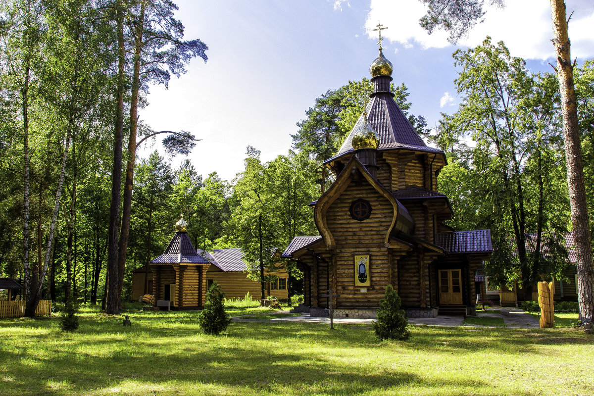 Церковь Алексия царевича г.Алексин - Виктор 