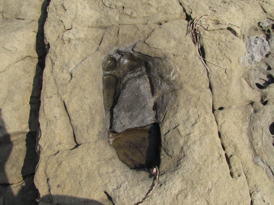 каменный след - doberman 