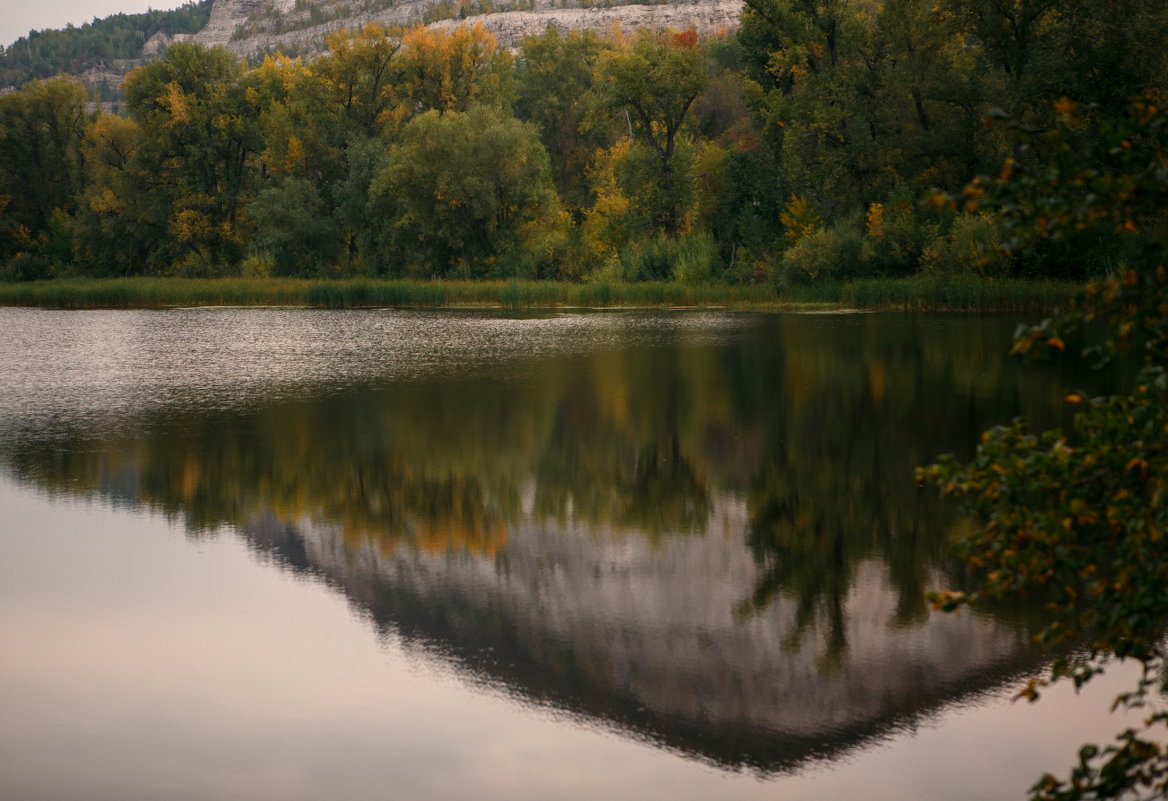 Отражение в озере - Николай Алехин