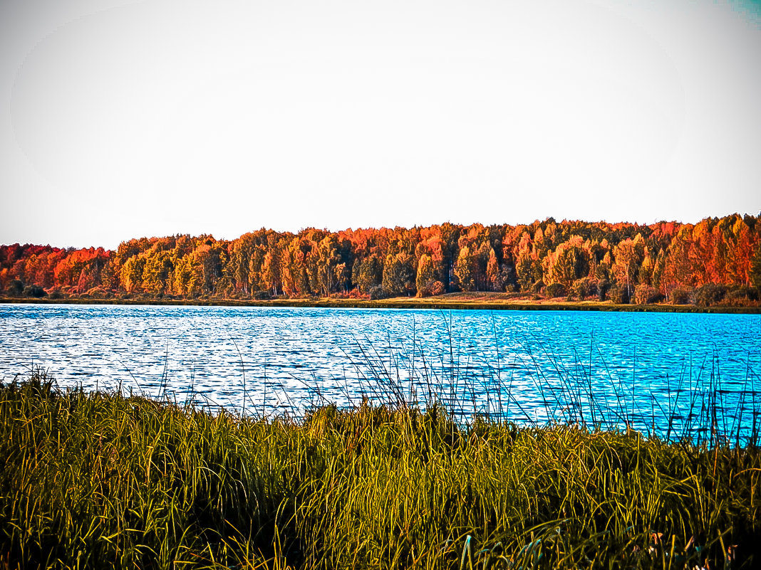 Осеннее озеро - Светлана 