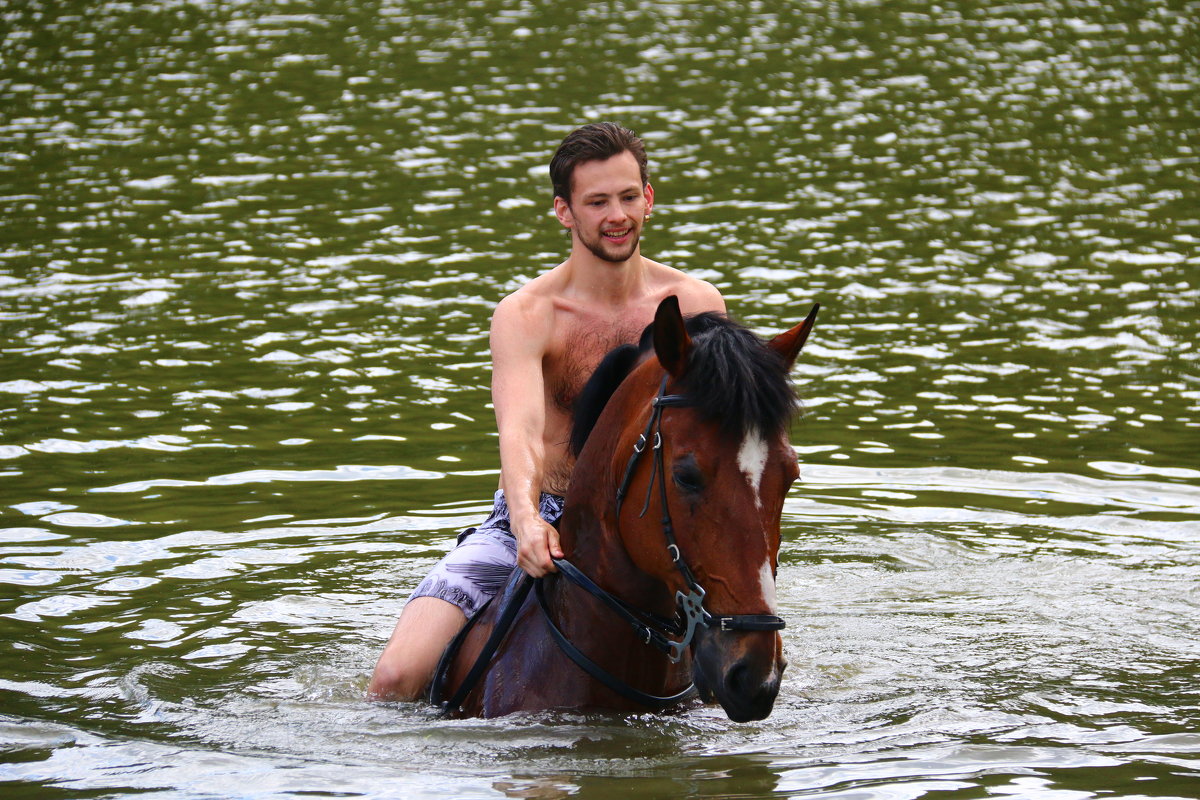 Купание лошади в озере. - Anna Kalganova 
