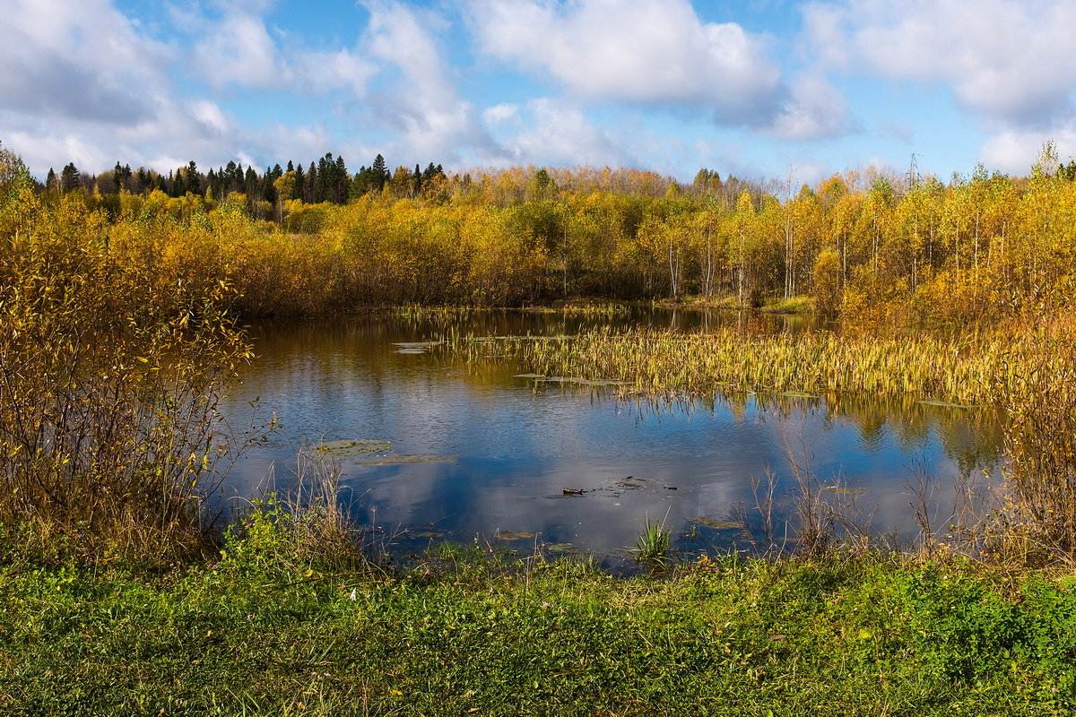 Осень на леcном озере. - Валерий Молоток