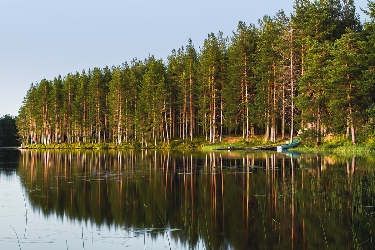Карелия лес озеро