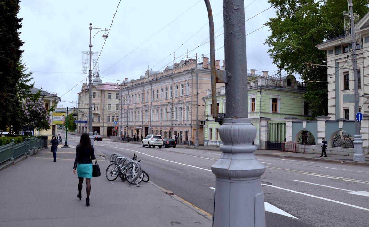 Москва. Волхонка - Владимир Болдырев