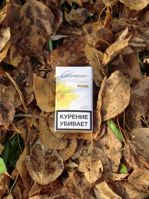 Табаком убивают, листья опадают... - Владимир Павлов