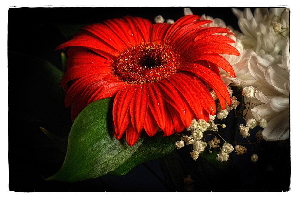 Красный цветок 2 - Цветков Виктор Васильевич 
