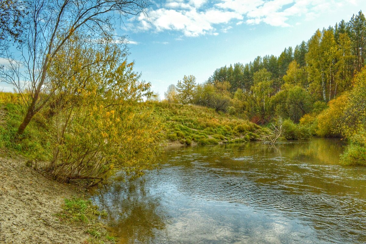 Осень на Киргизке - Евгения Семененко 