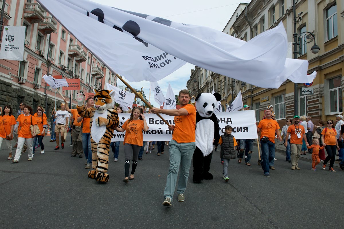Во Владивостоке прошел 16-й ежегодный "День тигра" - Sofia Rakitskaia