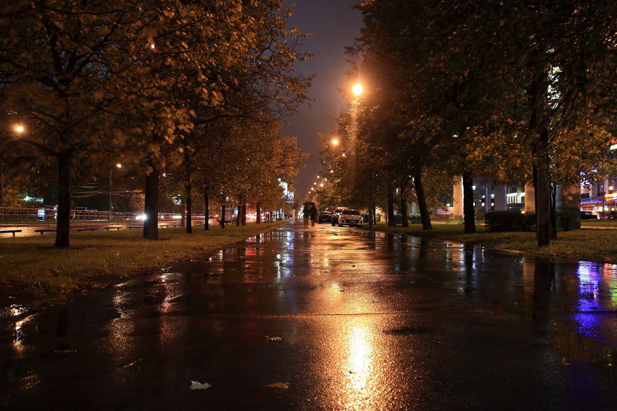 В Москву пришла осень... - Василий 