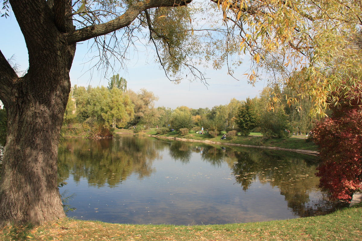 Осень - Владимир Холодницкий