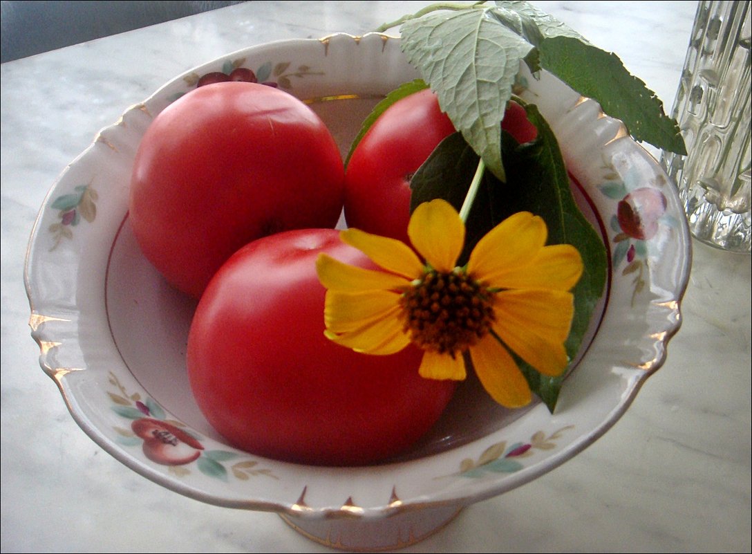 Санвиталия и помидоры - Нина Корешкова