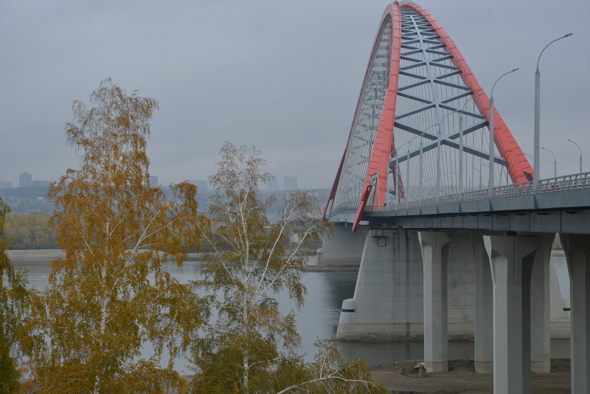 Бугринский мост - Андрей Ягодко