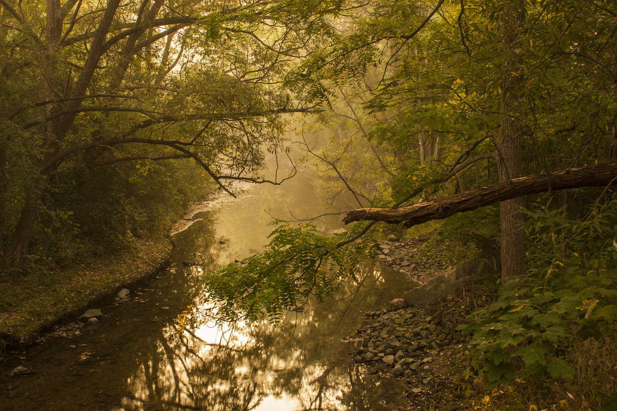 Тихая речка (Etobicoke creek) - Vladimir K