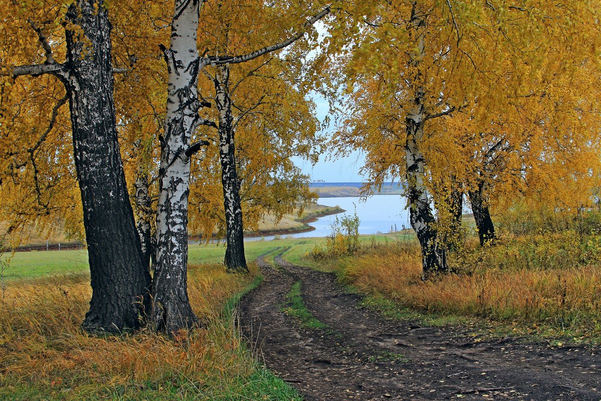 Осенний  этюд. - Vlad Borschev