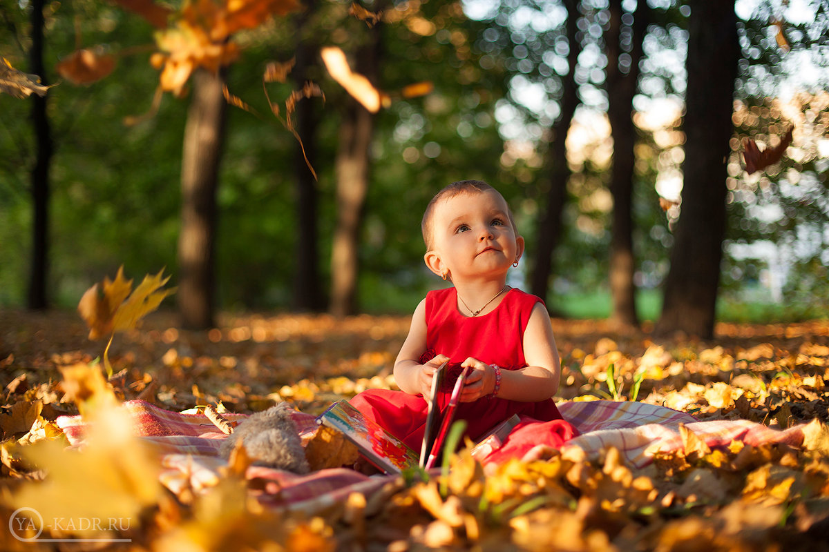 Осень - Ya-kadr.ru Детский фотограф
