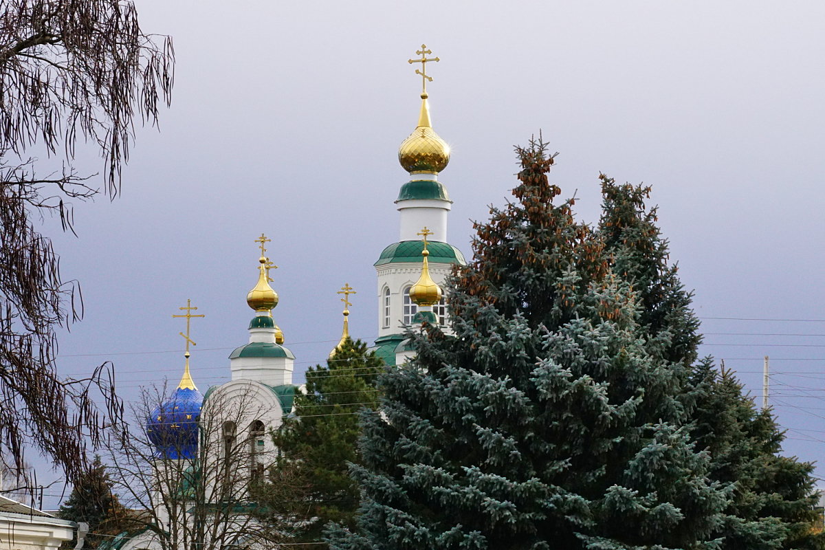Купола Свято-Никольского собора в Армавире - Игорь Сикорский