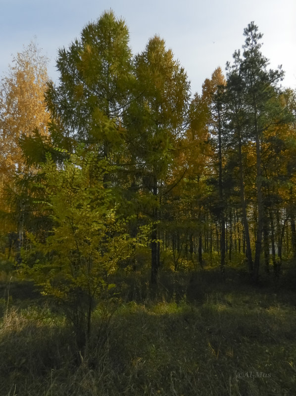 Осенний парк - Алексей Масалов