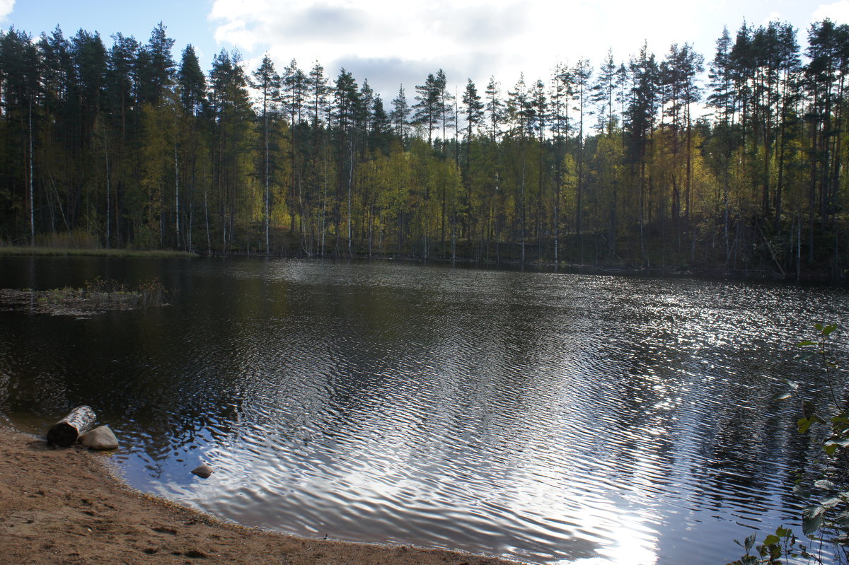 Лесное озеро - Елена Павлова (Смолова)