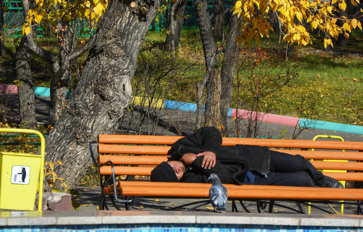 Люди и голуби - юрий Амосов