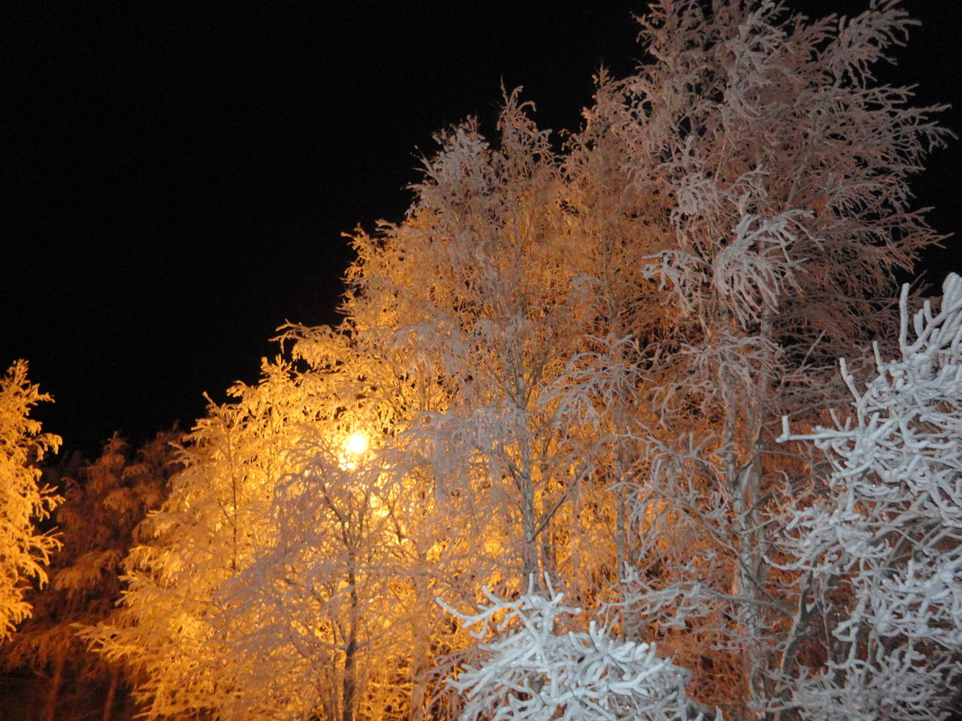 Зимний вечер - Ольга 