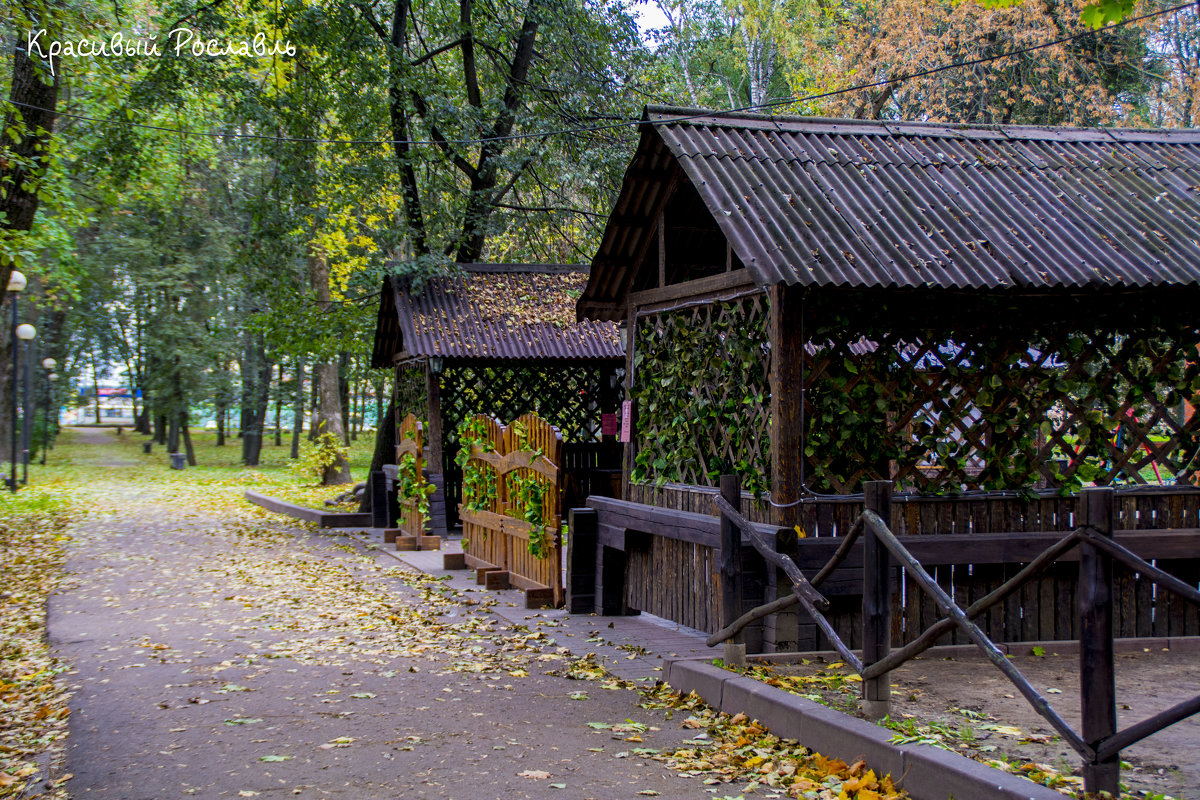 Осенний парк - Павел Данилевский