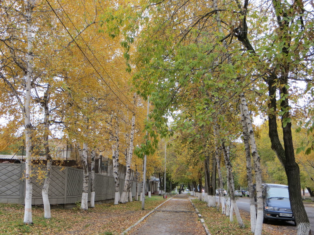 В Спасске -Дальнем осень - Валентина 