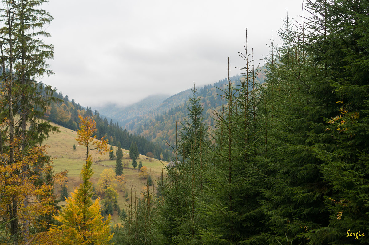 Осень в Закарпатье - Сергей Форос