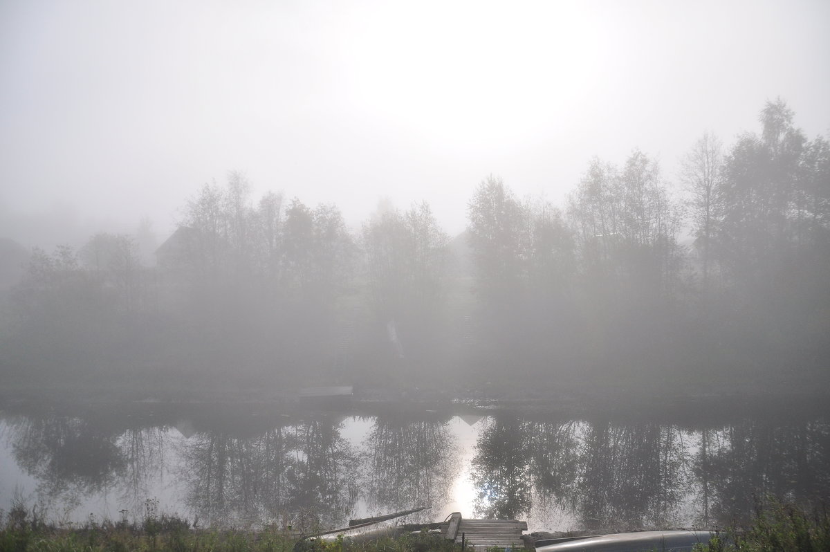 Туман над рекою - Olga Kovalski