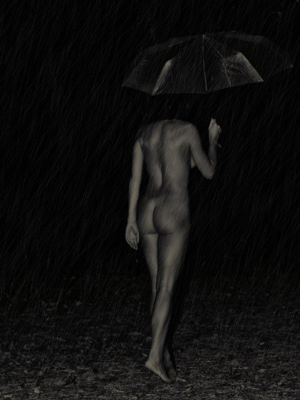 Уходящая в дождь... - Елена 