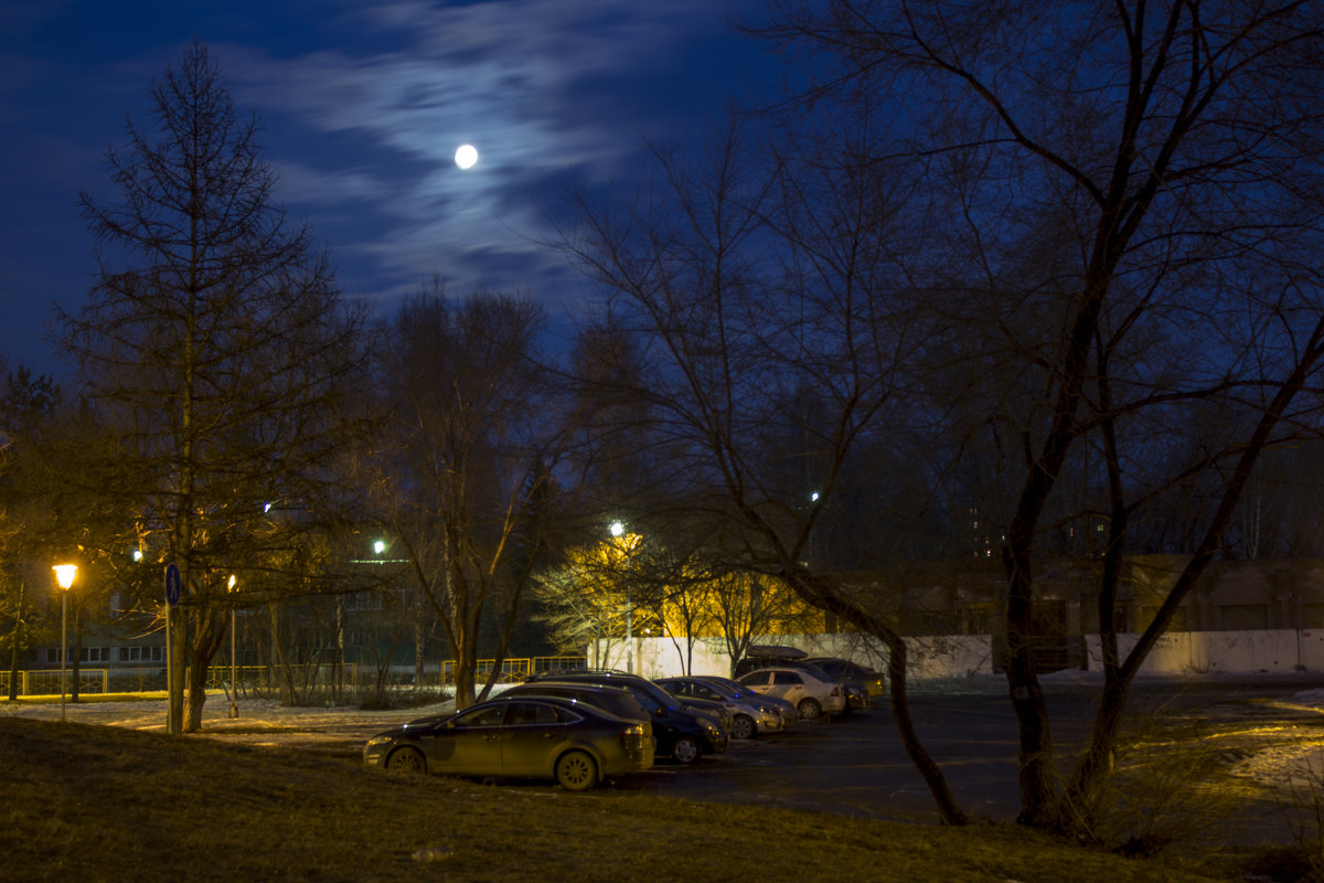 ночь, луна - Евгений Вяткин