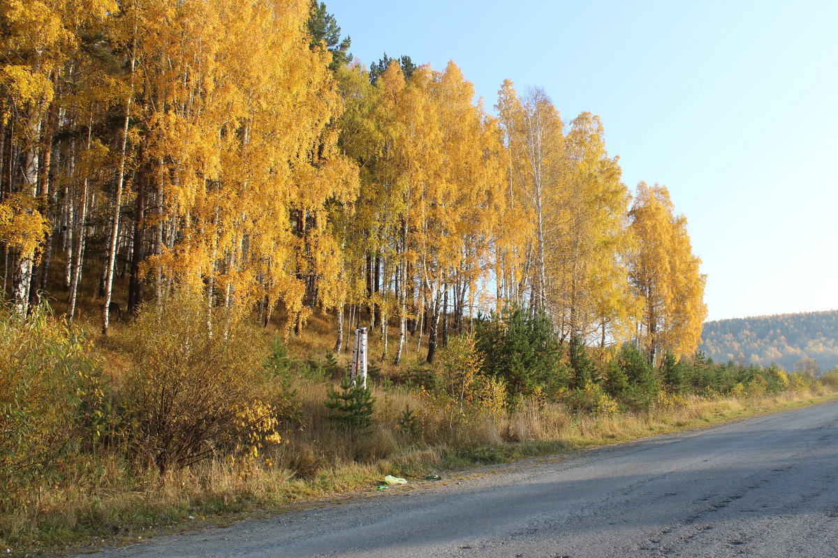 путешествие в осень - Тыртышных Светлана 