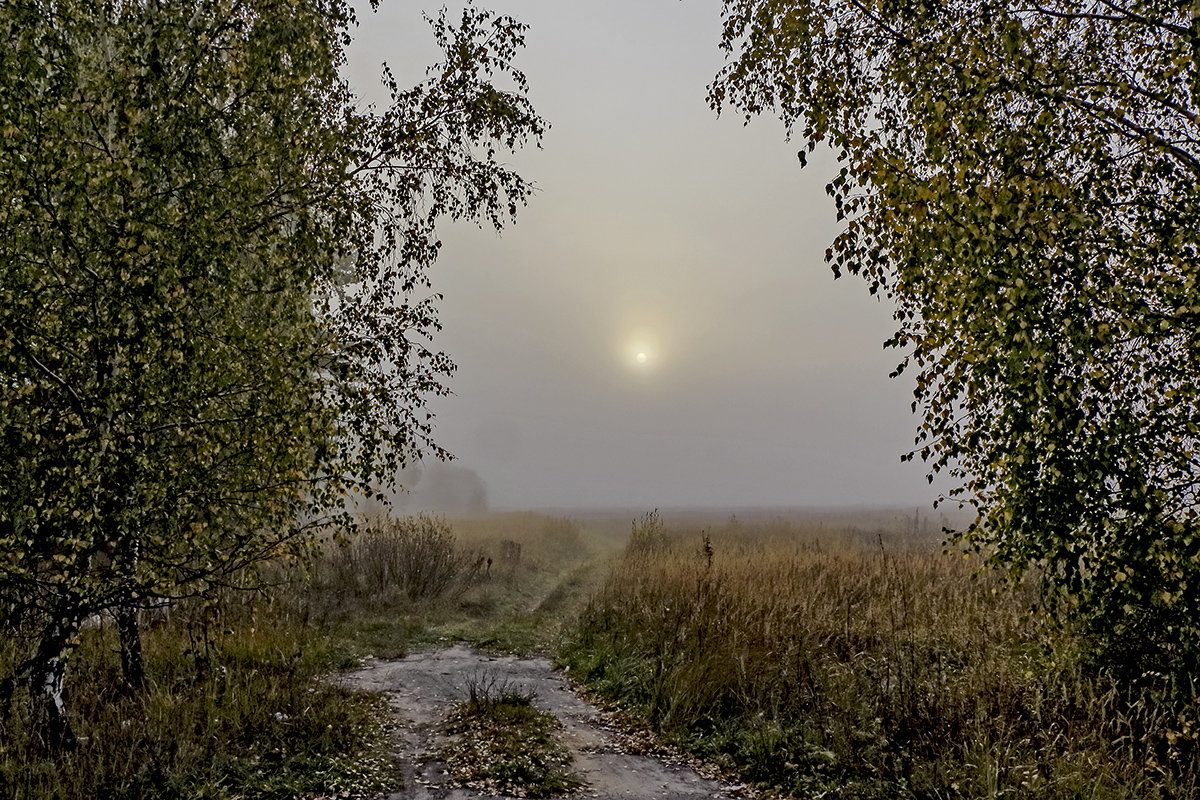 Однажды туманным утром - Игорь Егоров