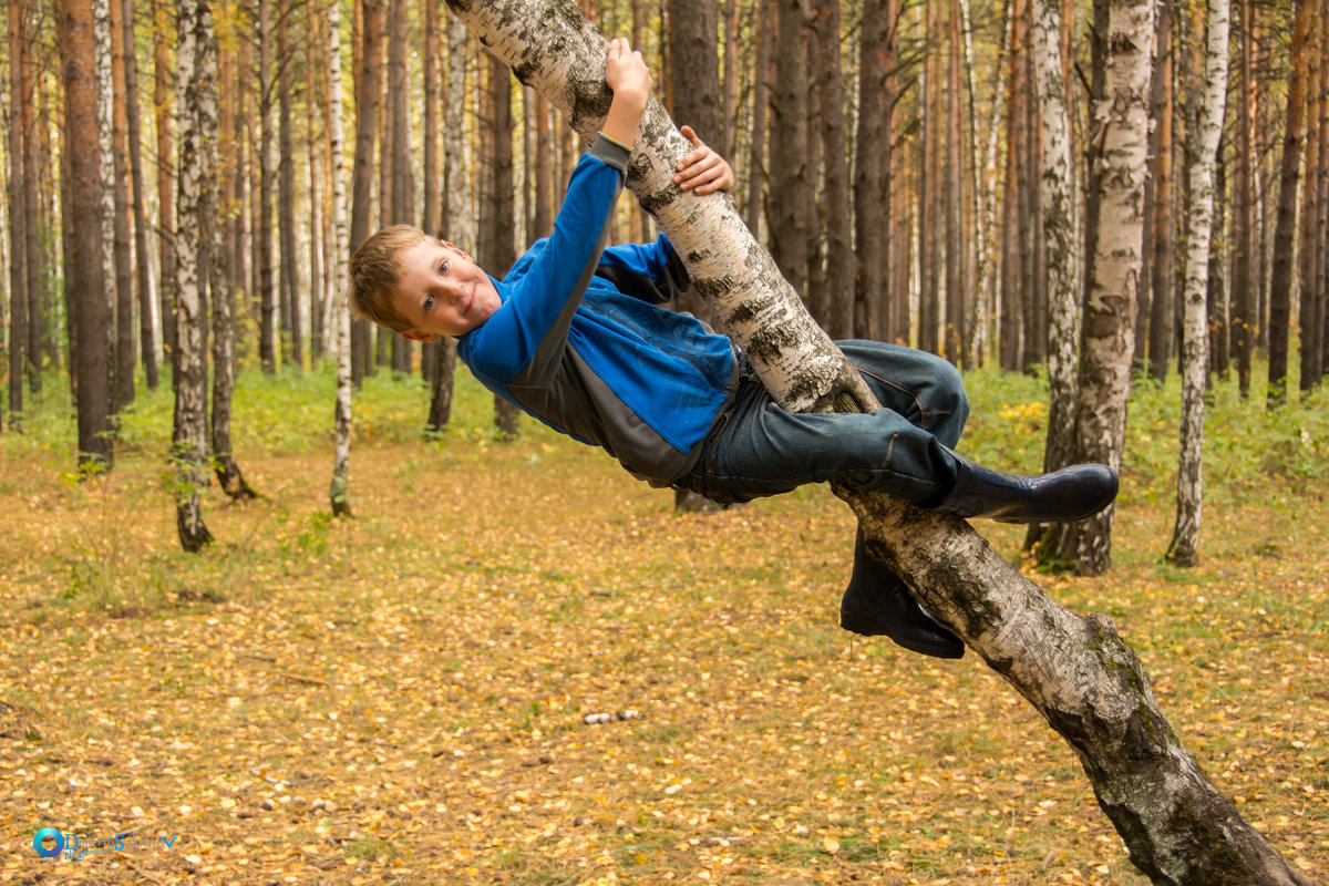 Прогулка в лесу Козлов