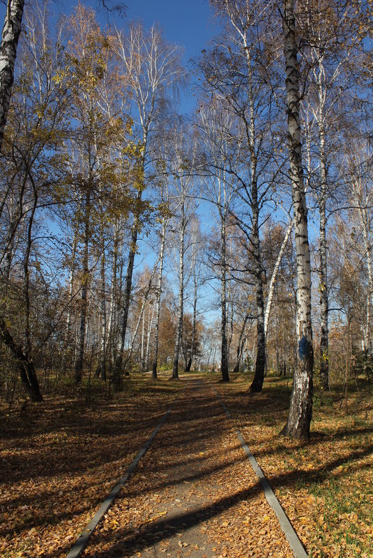 Листопад в парке - Наталья Золотых-Сибирская