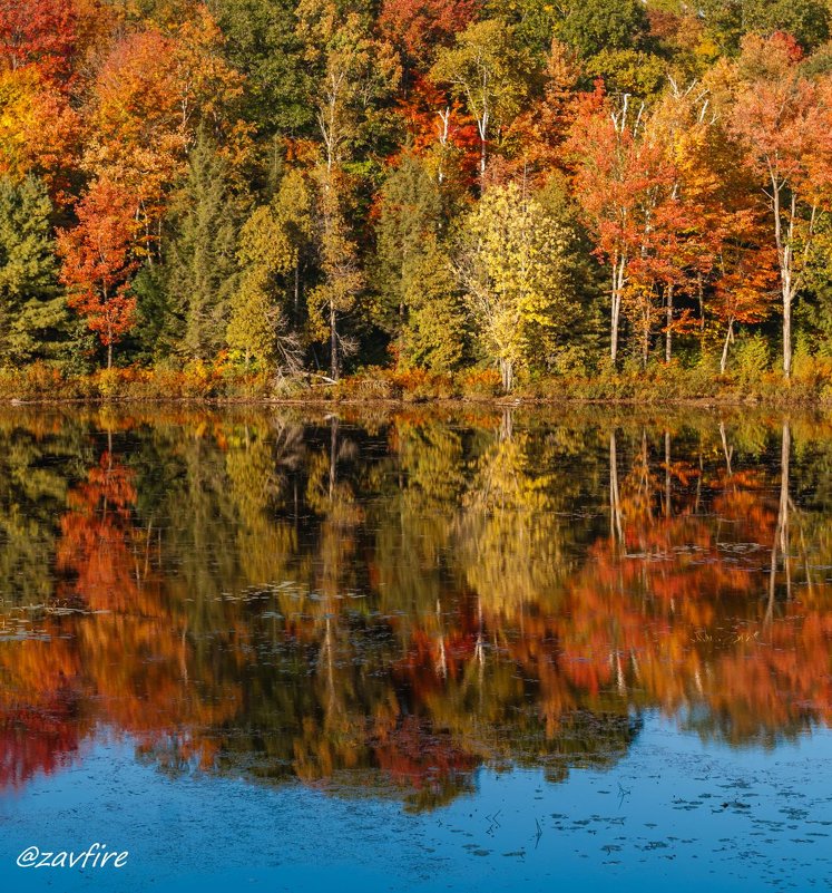 "Colors of Canadian Fall" - Andy Zav