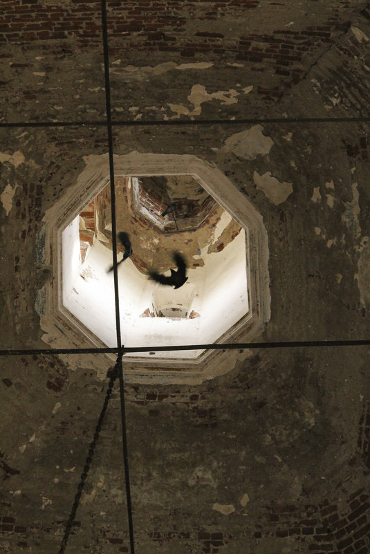Под куполом заброшенного храма - Ольга Мансурова
