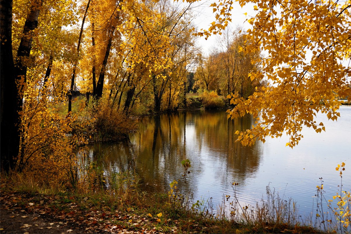 На берегу осени - Наталия Григорьева