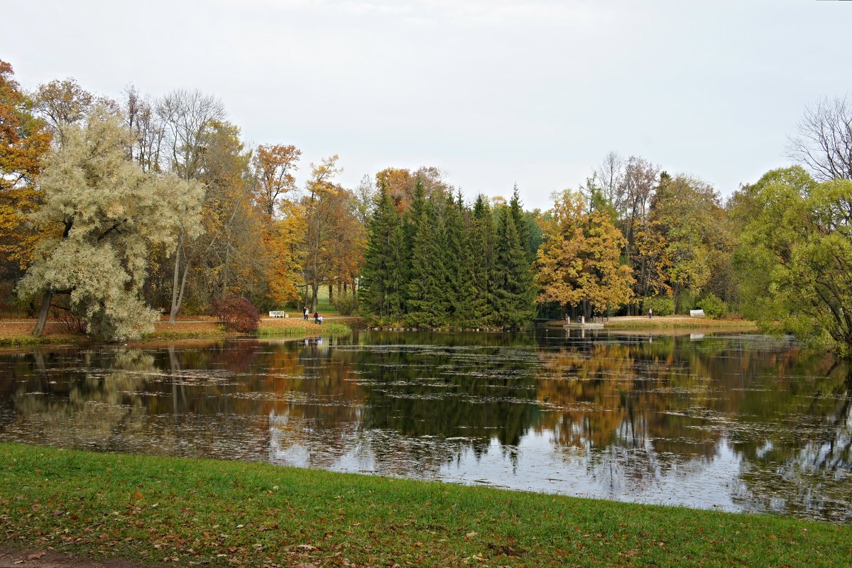Золотая осень в Екатерининском парке - Елена Павлова (Смолова)