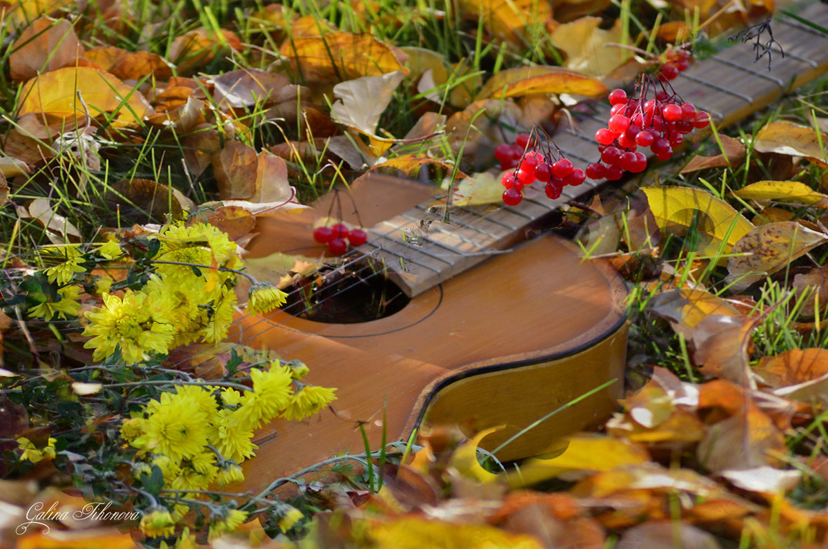 Гитара в осенних листьях